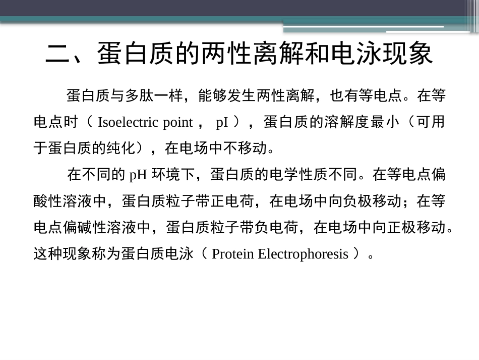 (45)--知识点25-蛋白质的性质_第3页