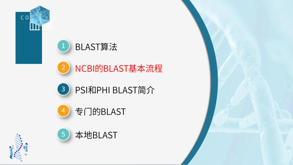 (46)--4.3.2 NCBI的BLAST基本流程生物信息学_第2页