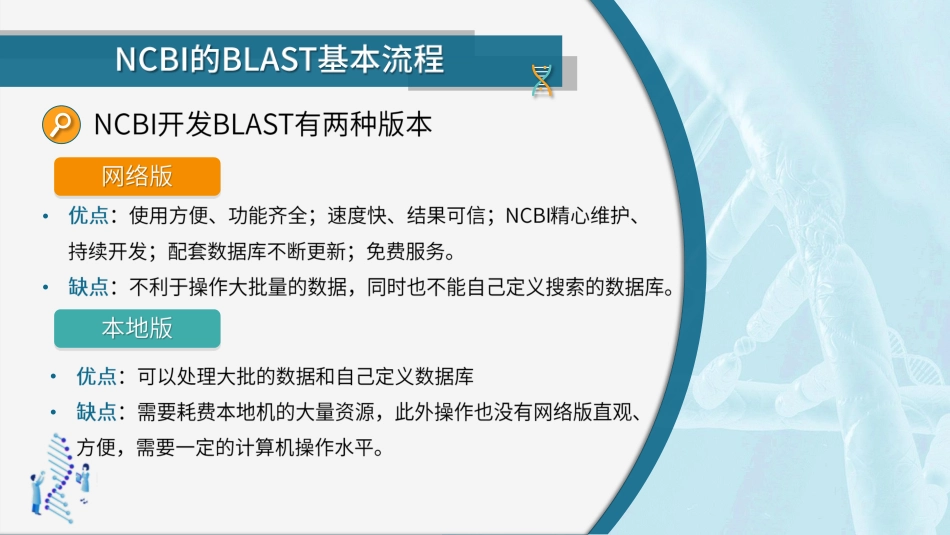 (46)--4.3.2 NCBI的BLAST基本流程生物信息学_第3页