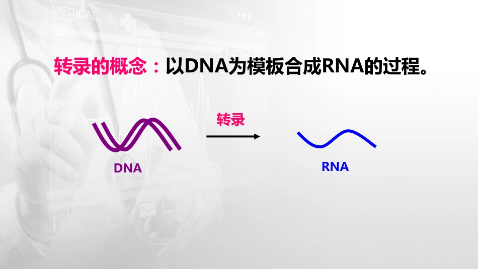 (46)--12.1转录的模板及RNA聚合酶_第2页