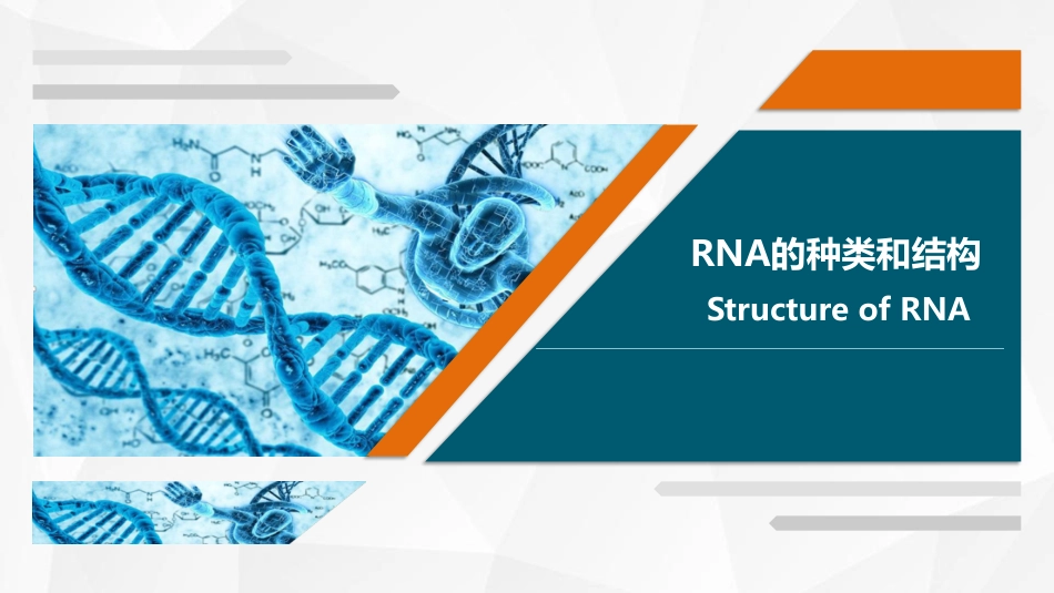 (46)--RNA的种类与结构_第1页