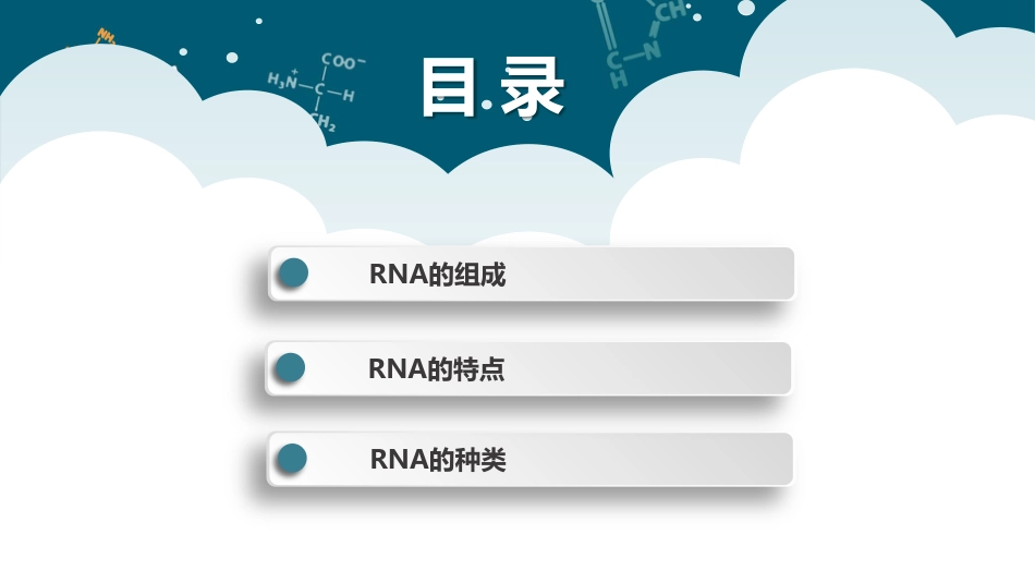 (46)--RNA的种类与结构_第2页