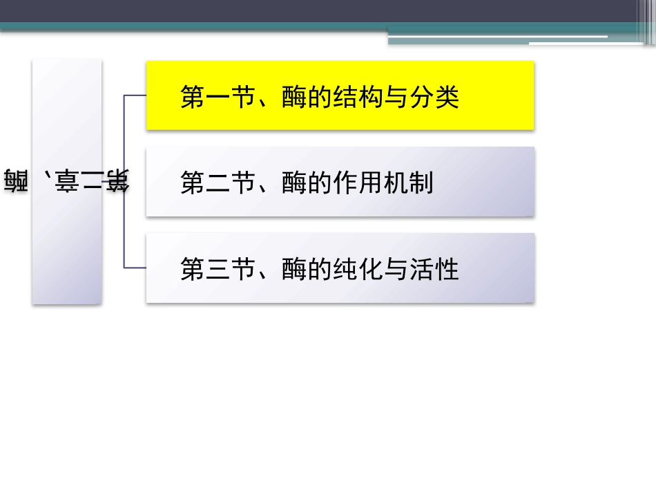 (47)--知识点27-酶的结构特征_第2页