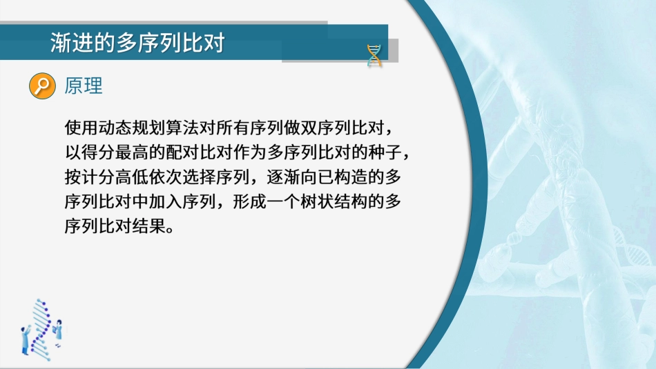 (51)--4.4.2 多序列比对其他方法_第3页