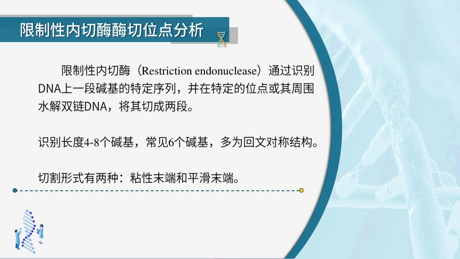 (53)--5.1.2酶切位点和重复序列分析_第2页