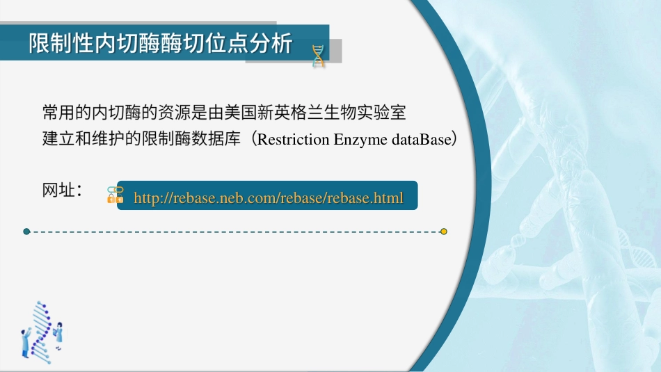 (53)--5.1.2酶切位点和重复序列分析_第3页