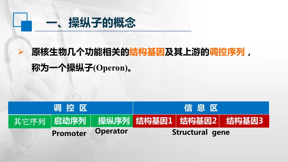 (54)--14.2操纵子的结构与功能_第2页