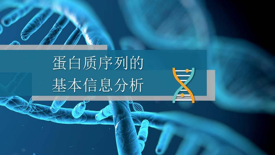 (56)--5.2.1基本和特征信息分析_第3页