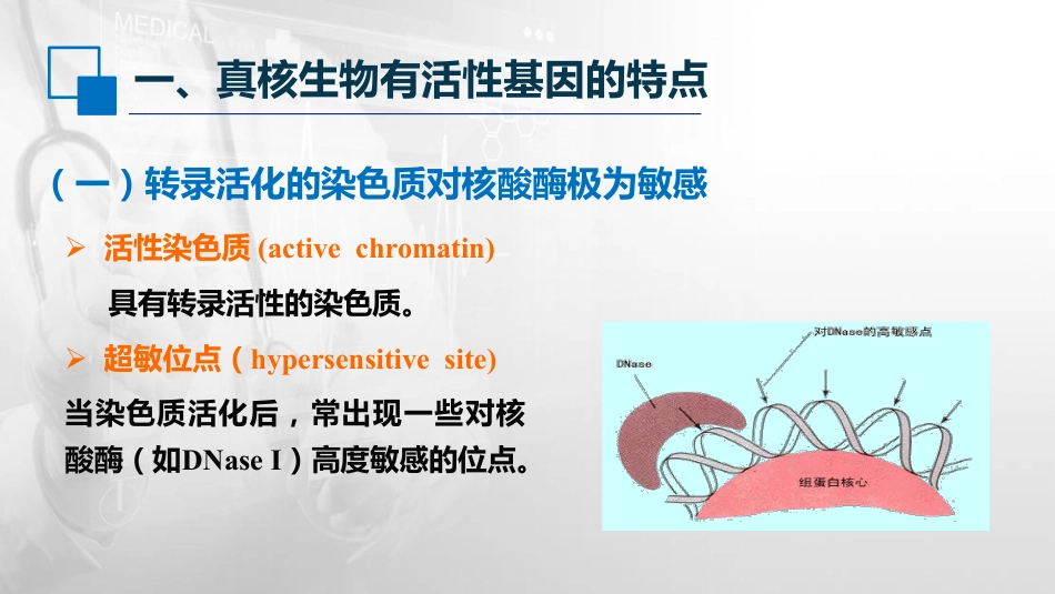 (56)--14.4真核基因表达调控的特点_第2页