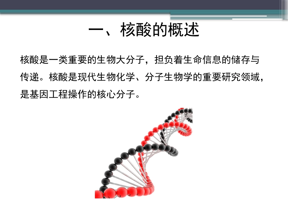 (56)--知识点36-核酸的概述生物化学_第3页