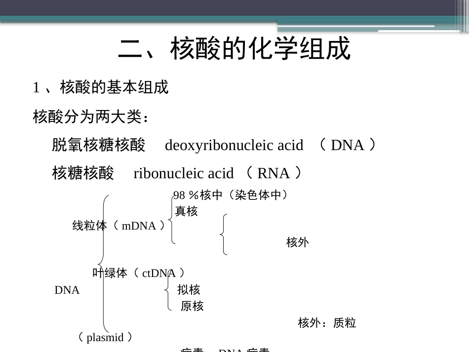 (57)--知识点37-核酸的化学组成1生物化学_第3页