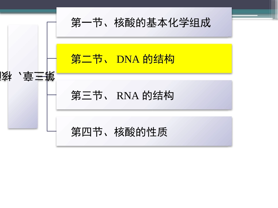 (59)--知识点39-DNA的结构1生物化学_第2页