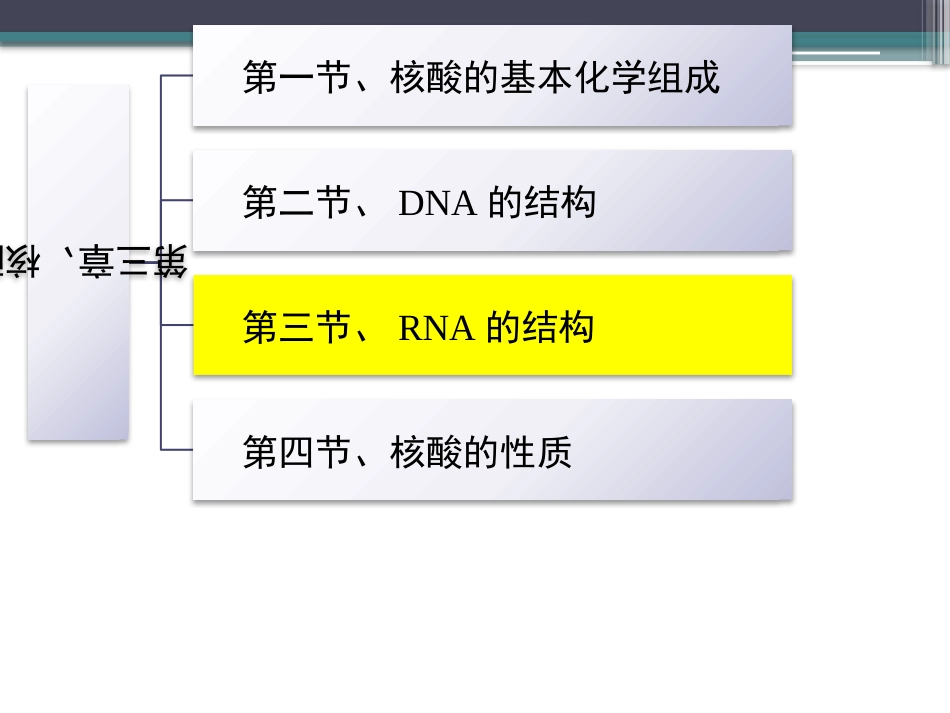 (61)--知识点41-RNA的结构生物化学_第2页