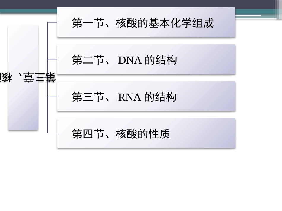 (62)--知识点42-核酸的性质生物化学_第2页