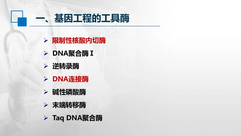 (65)--17.2基因工程的工具酶与载体_第2页