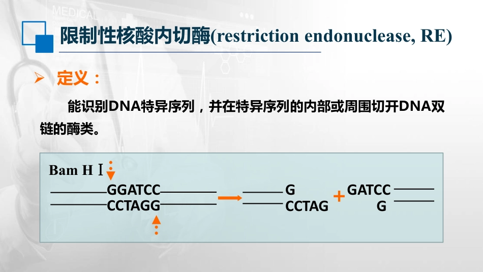 (65)--17.2基因工程的工具酶与载体_第3页