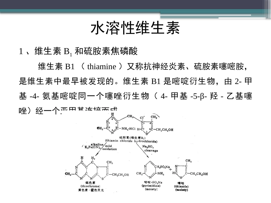 (67)--知识点47-水溶性维生素1生物化学_第3页