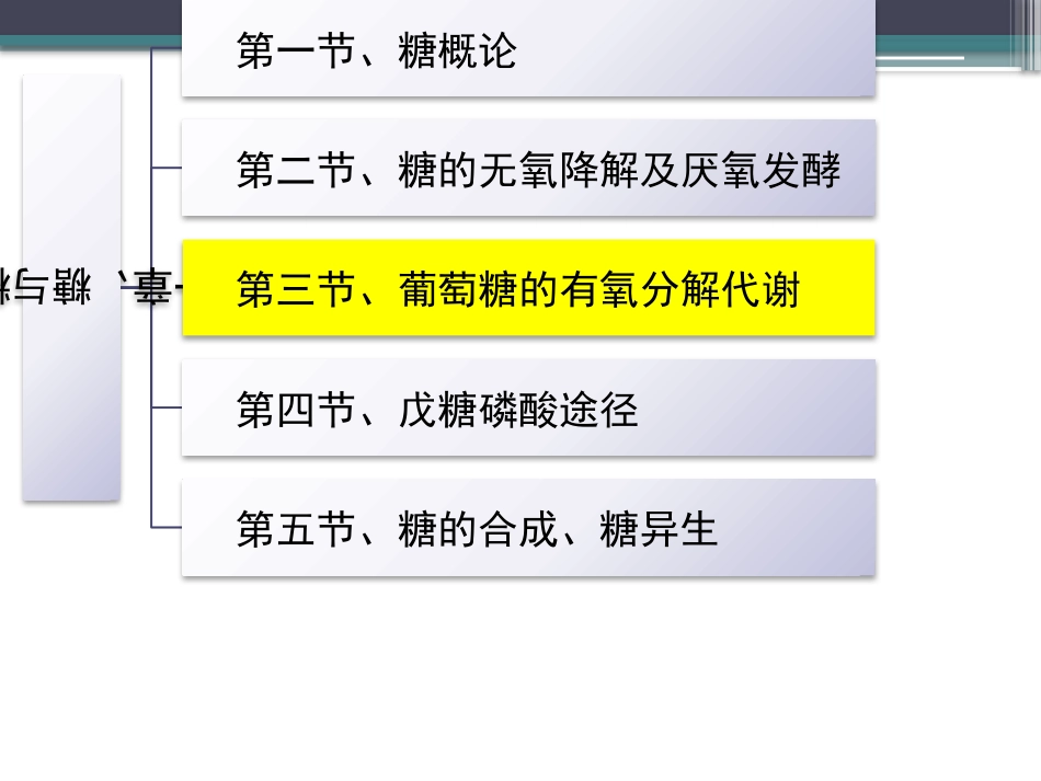 (73)--知识点53-葡萄糖的有氧分解代谢1_第2页