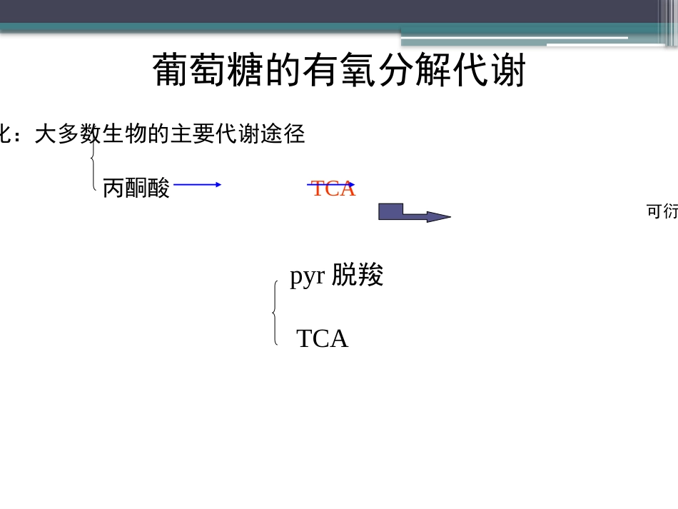 (73)--知识点53-葡萄糖的有氧分解代谢1_第3页