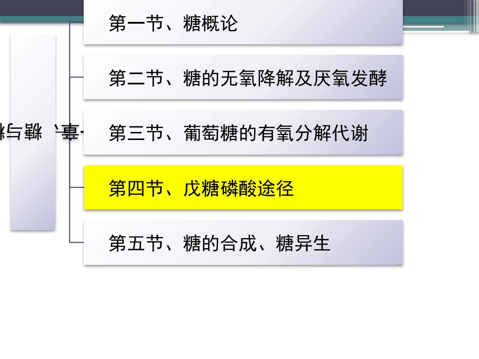 (75)--知识点55-戊糖磷酸途径生物化学_第2页