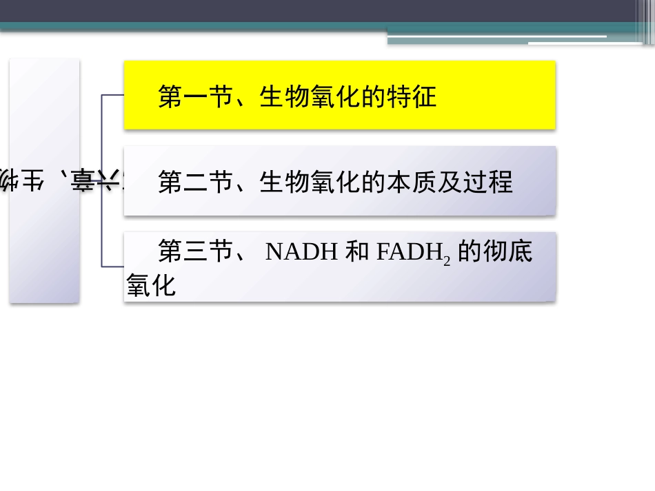 (77)--知识点57-生物氧化的特征_第2页