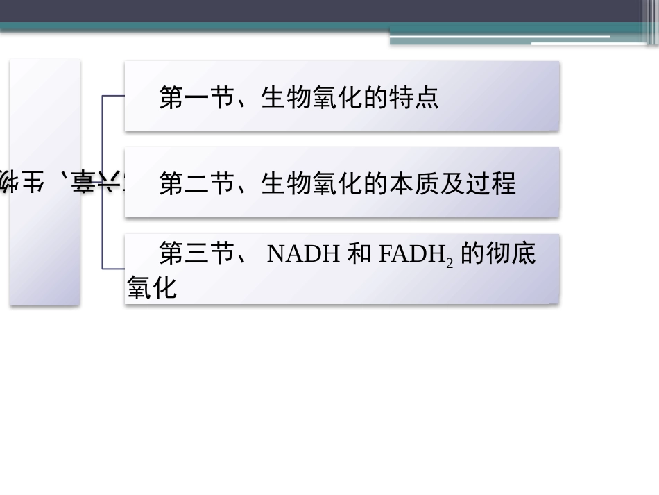 (78)--知识点58-生物氧化的本质及过程_第2页