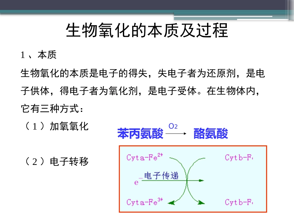 (78)--知识点58-生物氧化的本质及过程_第3页