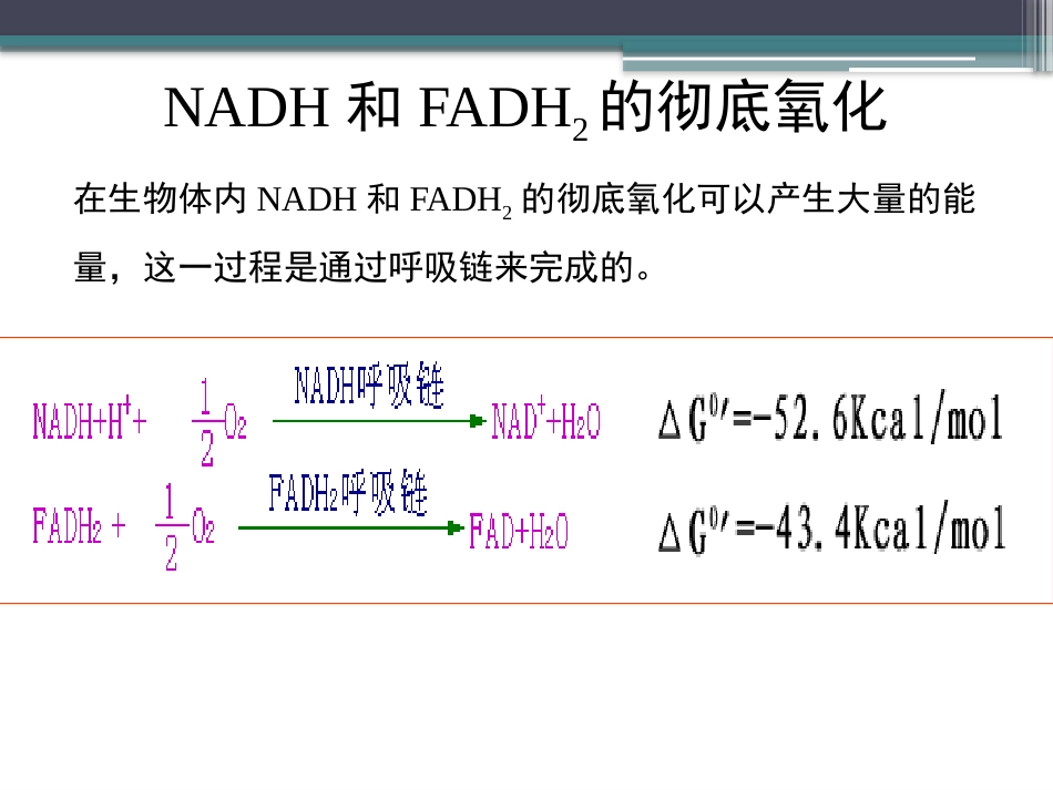 (79)--知识点59-NADH和FADH2的彻底氧化1生物化学_第3页