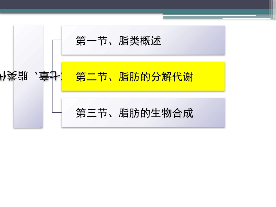 (83)--知识点63-脂肪的分解代谢1生物化学_第2页