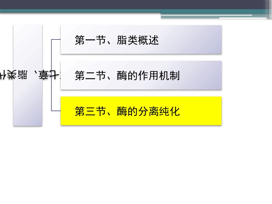 (86)--知识点66-脂肪的生物合成生物化学_第2页