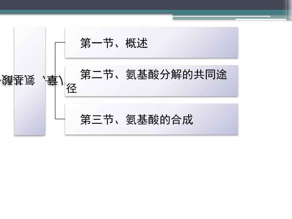 (88)--知识点68-氨基酸分解的共同途径_第2页