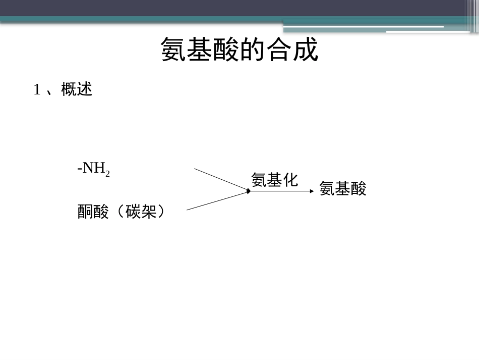 (89)--知识点69-氨基酸的合成生物化学_第3页