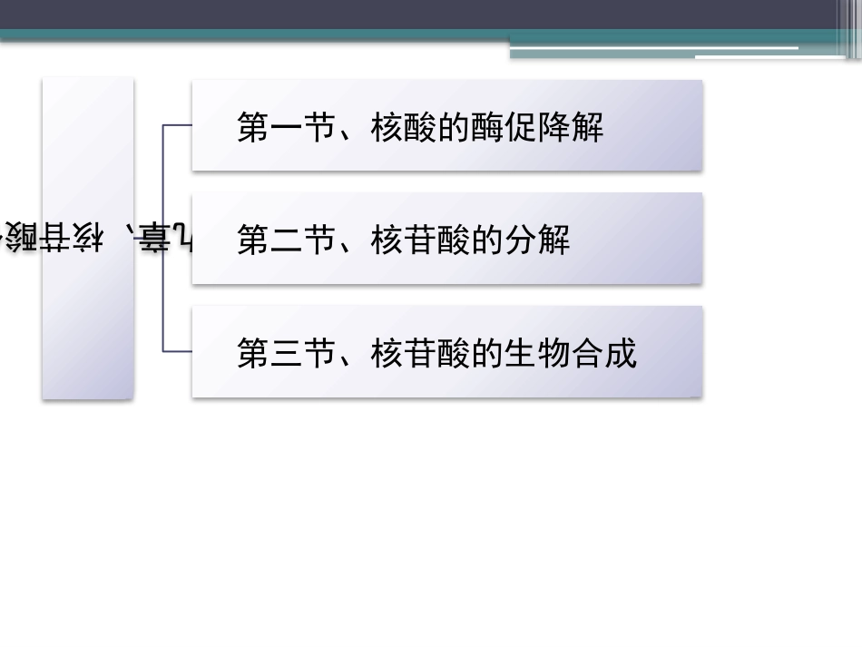 (90)--知识点70-核酸的酶促降解生物化学_第2页