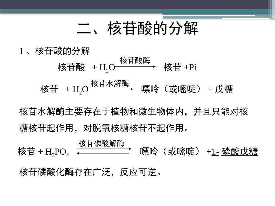 (91)--知识点71-核苷酸的分解生物化学_第3页