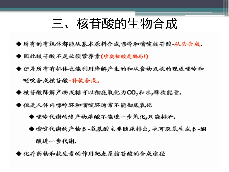 (92)--知识点72-核苷酸的生物合成_第3页