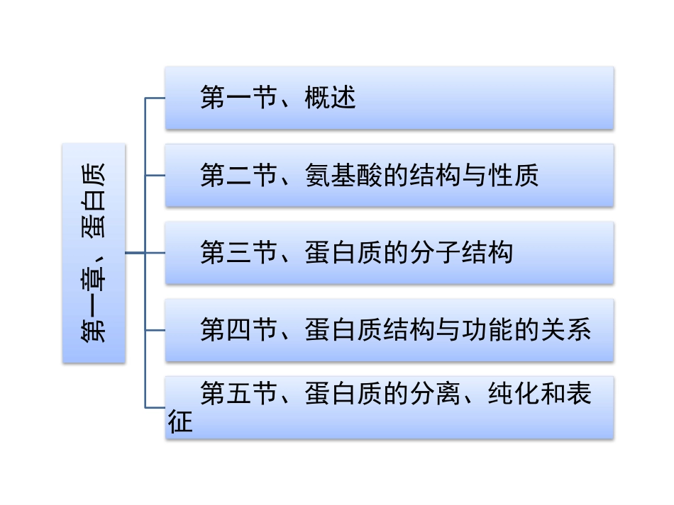 (94)--第一章、蛋 白质（2）生物化学_第3页