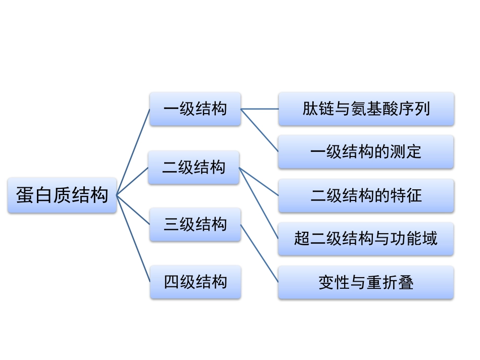 (95)--第一章、蛋 白质（3）生物化学_第3页