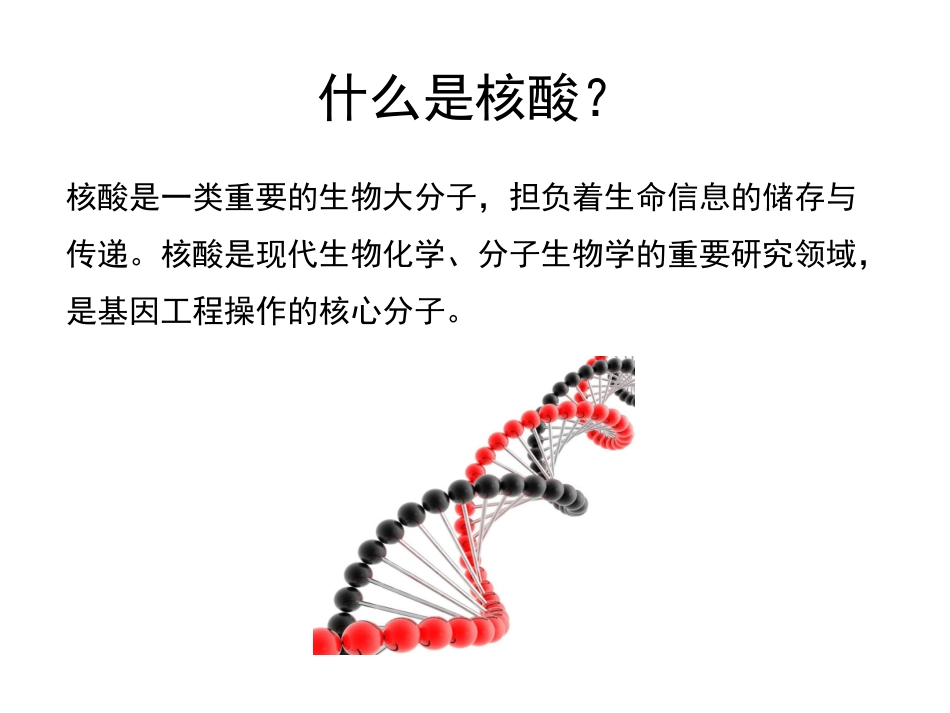 (101)--第三章、 核酸化学生物化学_第3页