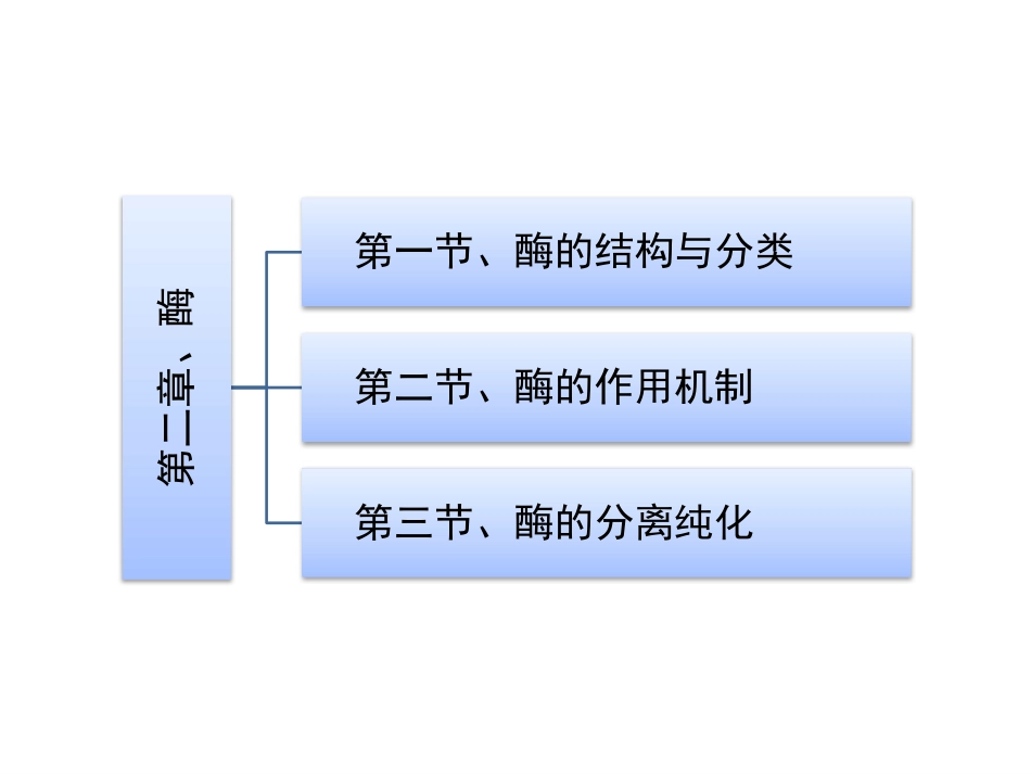 (103)--第二章、酶生物化学生物化学_第2页