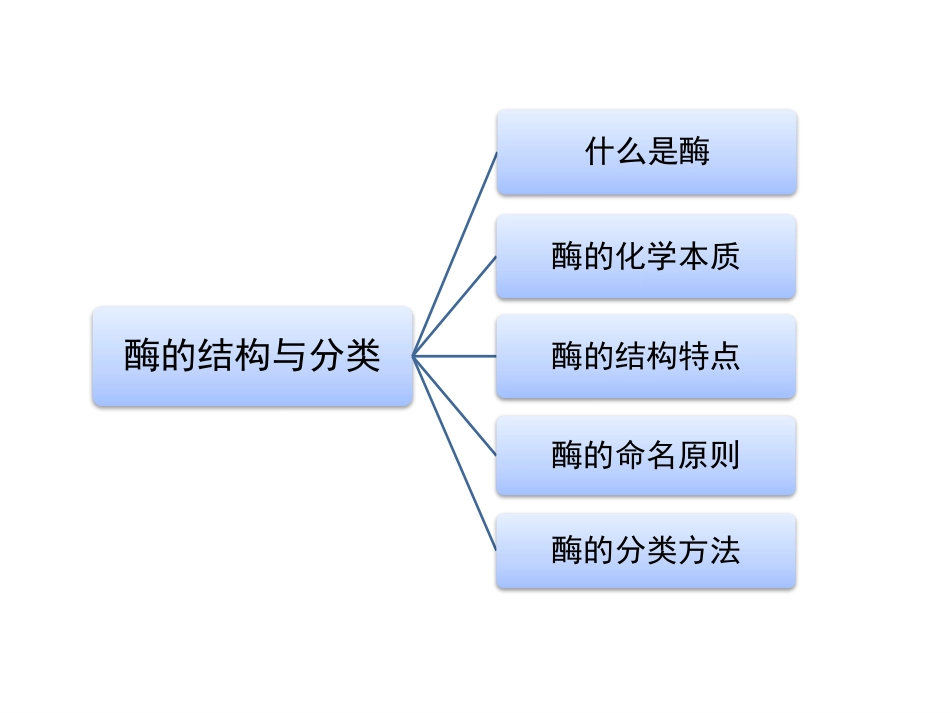 (103)--第二章、酶生物化学生物化学_第3页