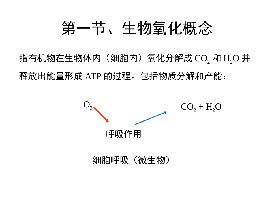 (106)--第六章、 生物氧化生物化学_第3页