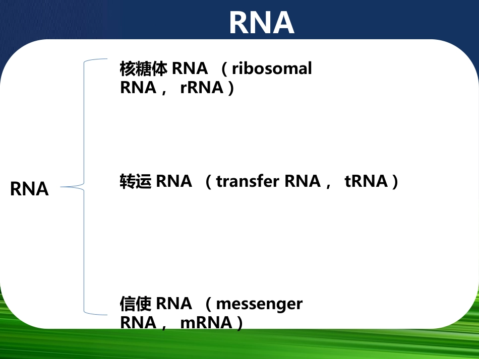 2-7RNA的结构生物膜的结构与功能_第1页