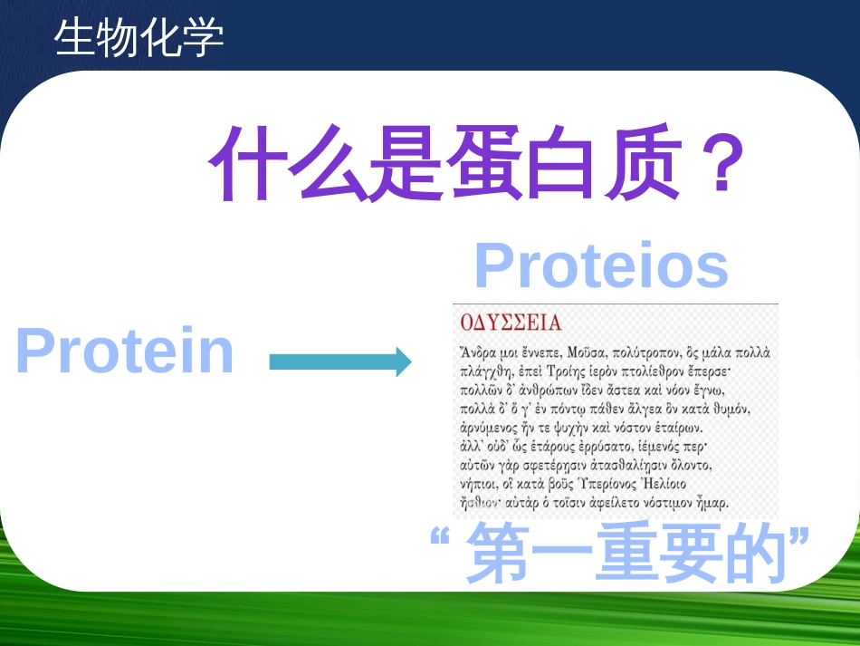 第三章 蛋白质化学生物化学_第2页