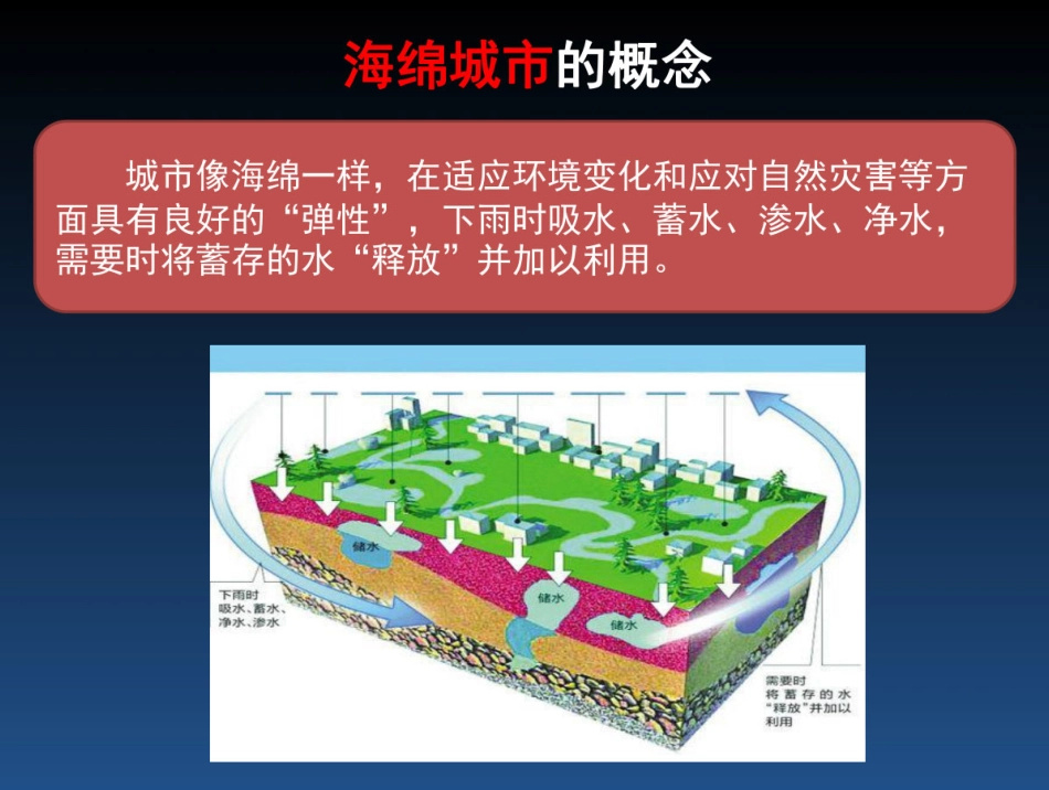 智慧海绵城市解决方案_第3页