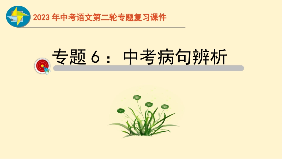 专题06  病句辨析过关-2023年中考语文二轮复习重难点过关指导课件（部编版）_第1页