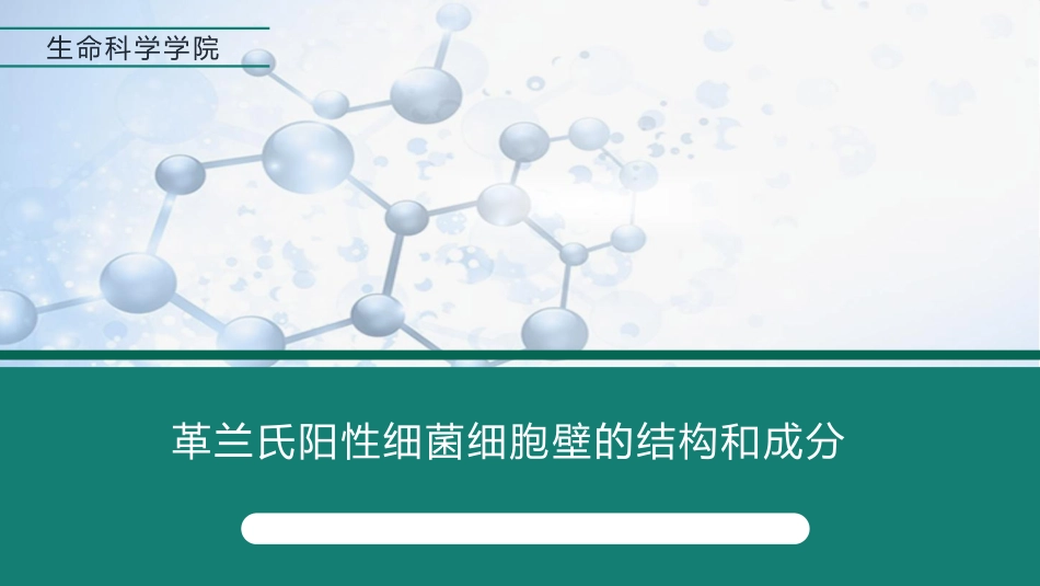 (1)--1.1革兰氏阳性细菌细胞壁的结构和成分_第1页