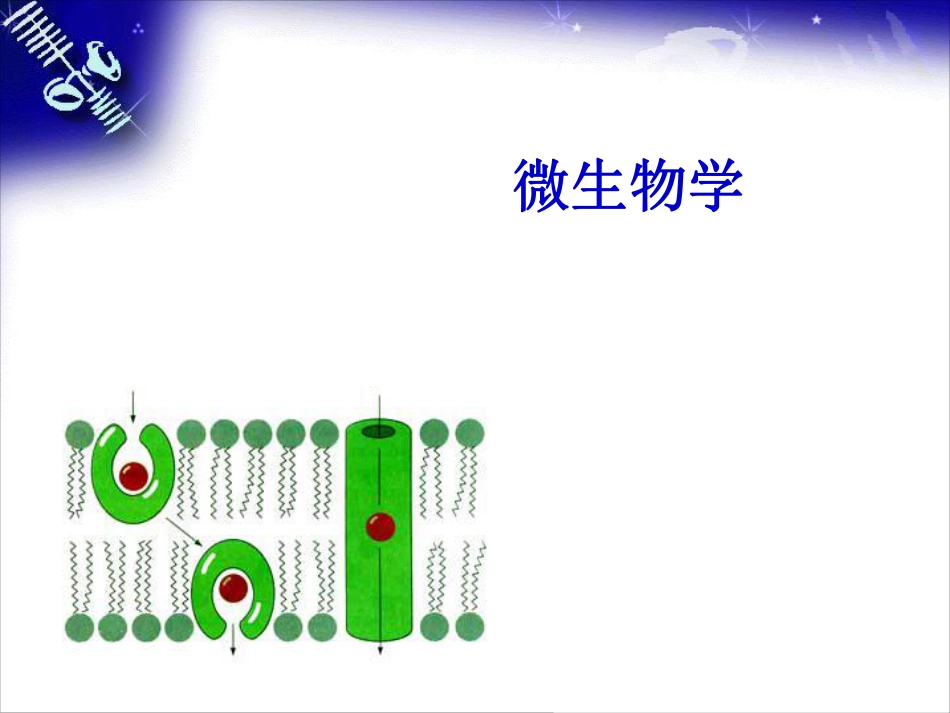 (1.4)--4 第四章 微生物的营养和培养基_第1页