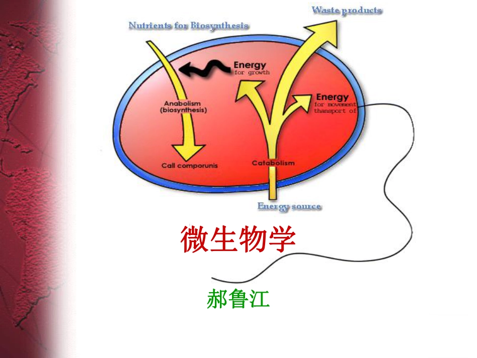 (1.5)--5 第五章 微生物的新陈代谢_第1页