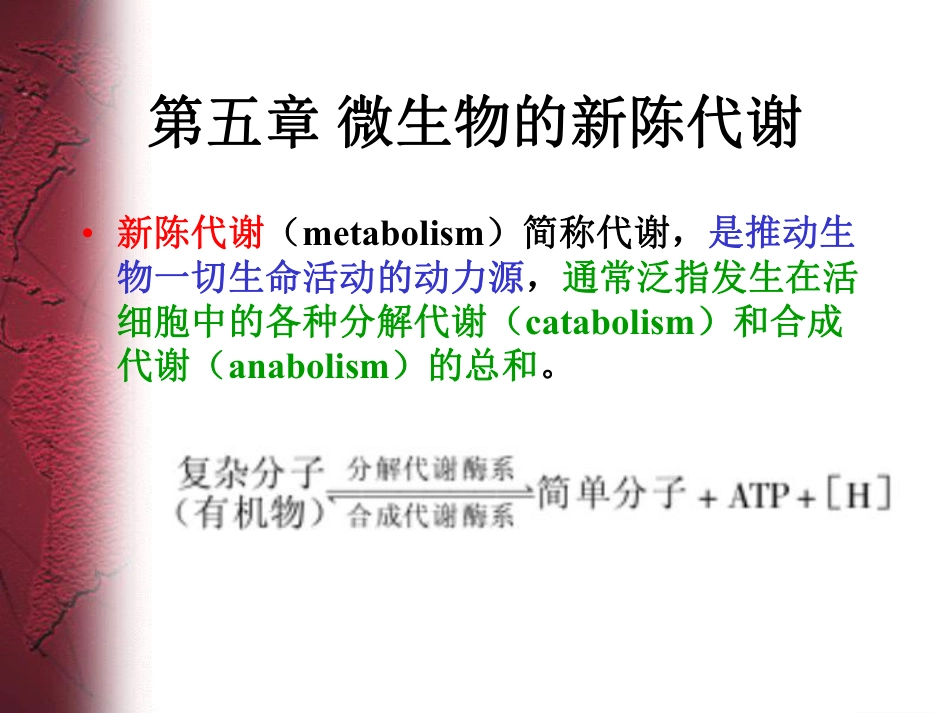 (1.5)--5 第五章 微生物的新陈代谢_第2页