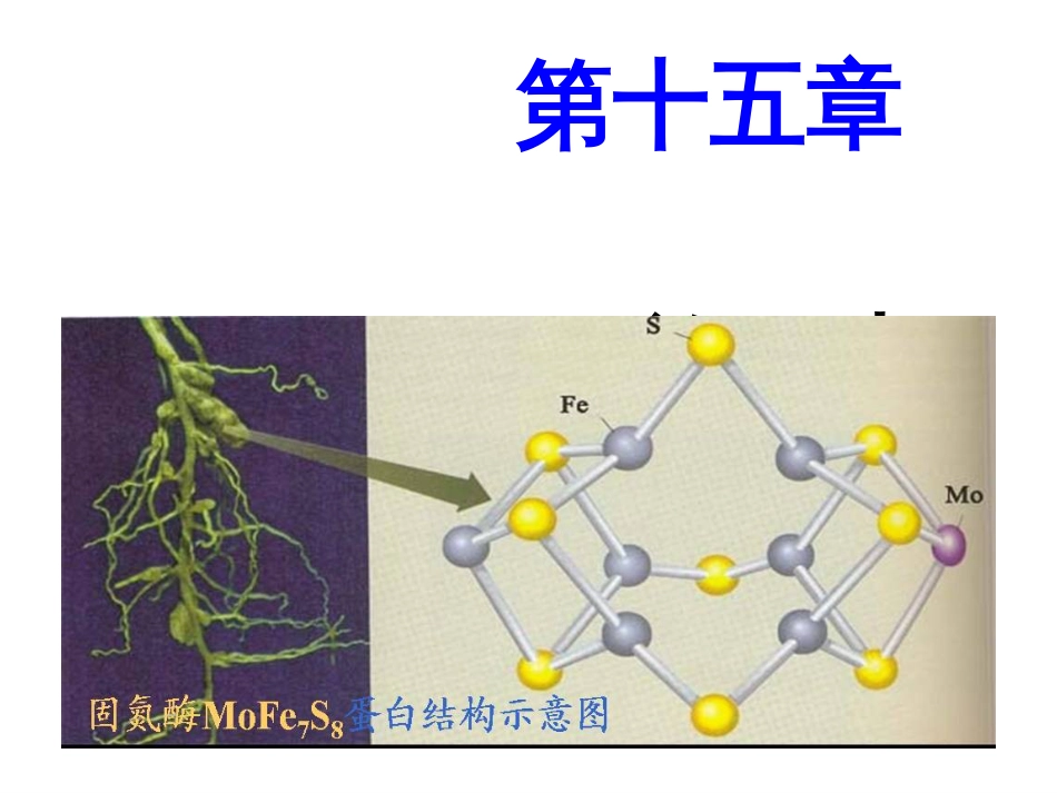 (1.10)--第15章 氮族元素无机化学无机化学_第1页